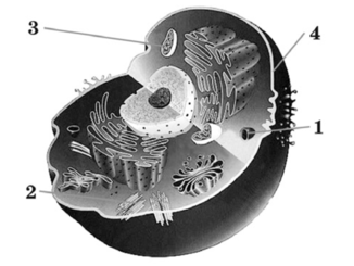 0201apmn-2631-326x245.png