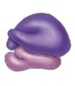 0201apro-2c97-140x160.png