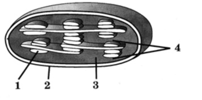 0201apsp-b8e7-407x201.png