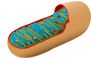 0201aptp-f679-296x189.png