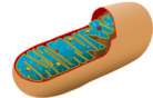 0201apzz-5521-138x88.png