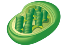 0201aq17-3416-133x91.png