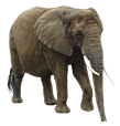 0201as2u-583d-109x114.png