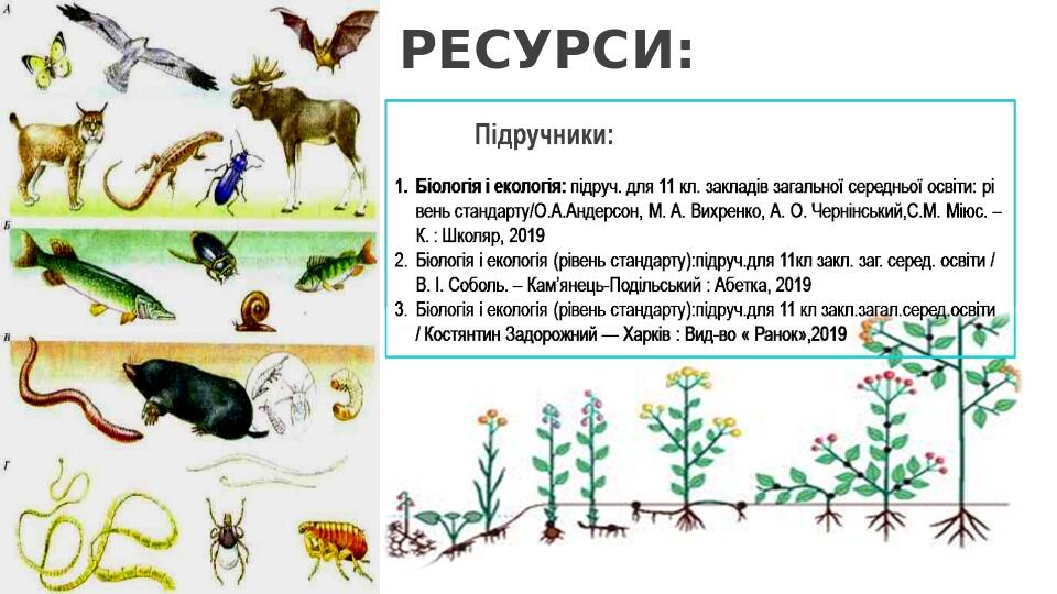 РЕСУРСИ: BASIC LAYOUT Insert the title of your subtitle Here