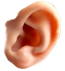 0201ayq7-f198-65x71.png