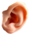 0201ayqz-c665-60x70.png