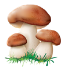 0201ayrm-e782-63x67.png