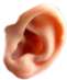 0201aywt-0092-61x73.png
