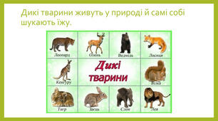 Дикі тварини