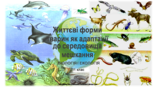 Життєві форми рослин і тварин як адаптації до середовища існування