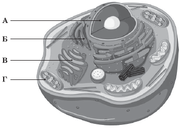 0201b197-1f9a-180x128.png