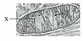 0201b1ar-8d9b-166x82.jpg