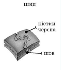 0201b1zx-bea4-213x243.png