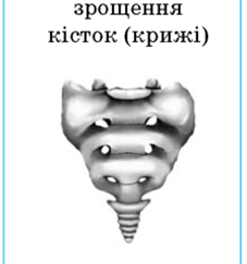 0201b20f-ad84-227x243.png