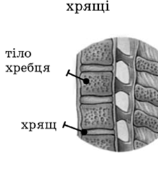 0201b20m-b621-227x243.png
