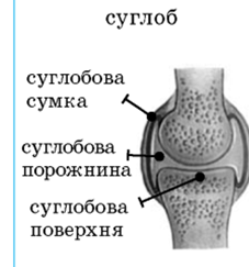 0201b20s-81a3-227x243.png