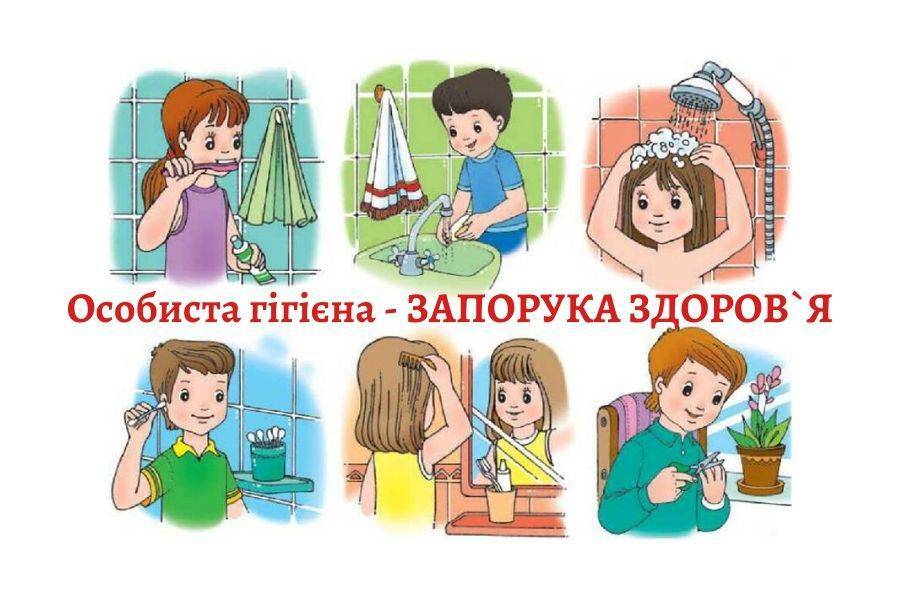 0201b99v-63b7-900x600.jpg