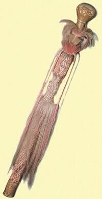 0201ba0x-3b8c-200x389.jpg