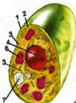 0201bc3m-a976-86x116.png