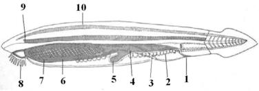 0201bei2-78bd-376x133.jpg