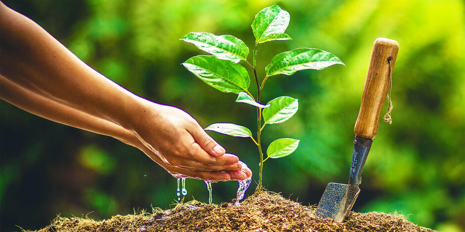Plant a Tree with PlantSnap - Plant Recognition App for iOS and Android