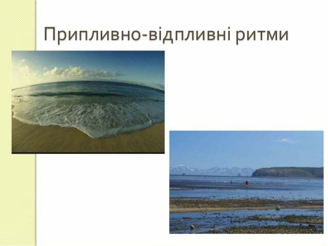 2 пристосування організмів до середовища життя