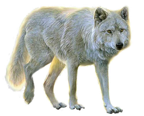 0201bh33-58e3-500x403.png