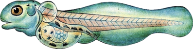 0201bhn1-ef82-397x101.png