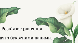 Розв’язок рівняння. Задачі з буквеними даними.