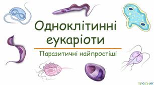 Одноклітинні паразитичні організми