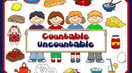 Individual Work  Countable and uncountable nouns. Much/many