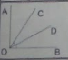 0201bmnb-c10f-122x107.png
