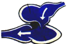 0201bn96-4390-214x141.png