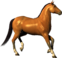 0201bnom-5362-62x58.png