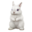 0201boas-5b04-47x47.png