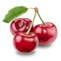 0201boba-9860-61x61.png