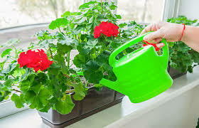 0201bp7d-025c-280x180.jpg