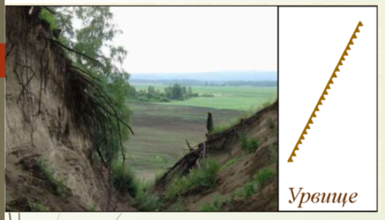 0201br91-0712-546x312.png