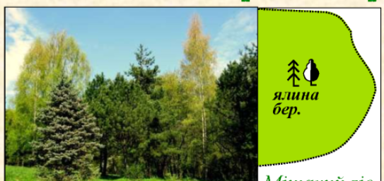 0201br9d-b30d-543x256.png