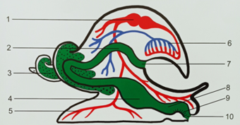 0201brq3-9a77-340x177.png