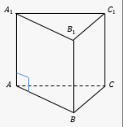 0201brus-f312-317x328.png
