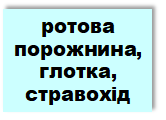 0201bsrj-439a-166x120.png