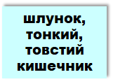 0201bsrm-4f67-161x120.png