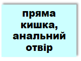 0201bsro-8b42-161x121.png