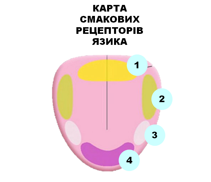0201bssb-6007-729x629.png