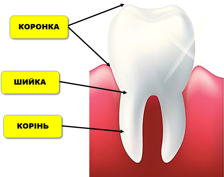 0201bssm-daa3-720x567.png