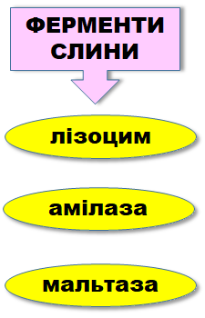 0201bst7-8b57-225x350.png