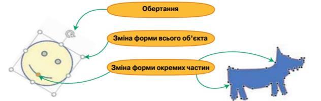 дізгро.jpg