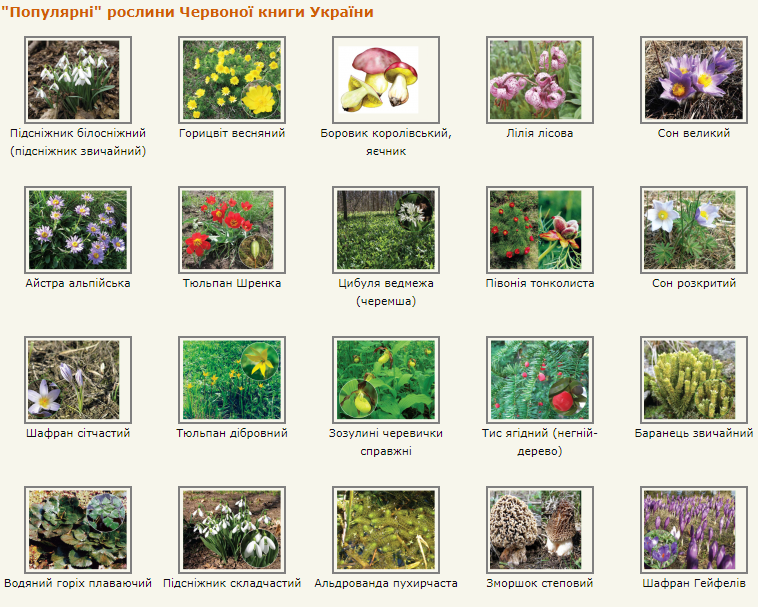 0201bwf9-39a8-758x607.png