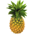 0201c0b5-7bb6-110x113.png